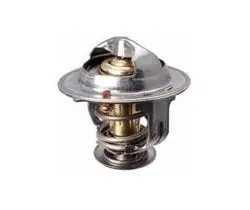 Opel Antara 2007-2011 2.0 Dizel Motor Termostat Orijinal