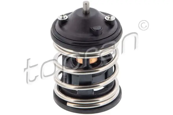 Termostat BMW F20 F21 F23 F32 F82 F36 F10 N47