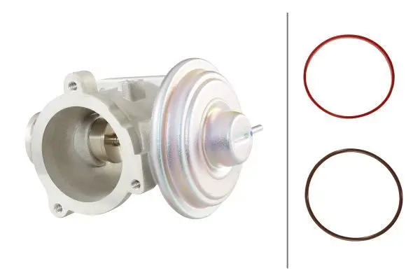 EGR Valfi M47n / M57n