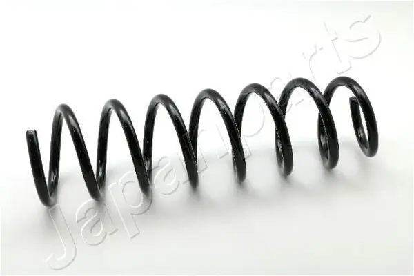BMW F10 Arka Helezon Yayı 33536794652