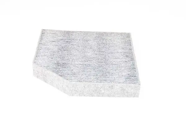 Polen Filtresi (İnceltilmiş) E2996lc / Lak667 (Karbonlu) A6-A7-A8 Bm 11-