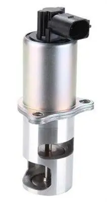EGR Valfi