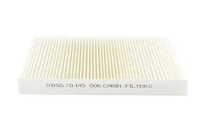 Polen Filtresi Karbonsuz 307/308/C2/C3/C4/Ds4 B.M 03-