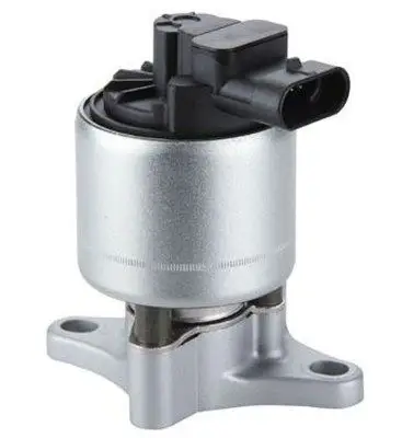 EGR Valf-Vectra B