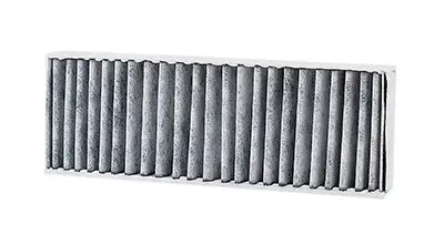Polen Filtresi Çıftlı Karbonlu 301/C-Elysee B.M 12-