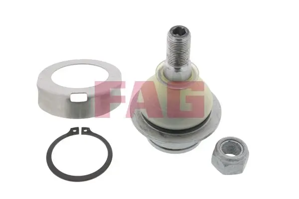 Rotil (Ford Transit V184 01-06 / V347 06-12 / Connect 02-13 / V362 Custom 12-16)