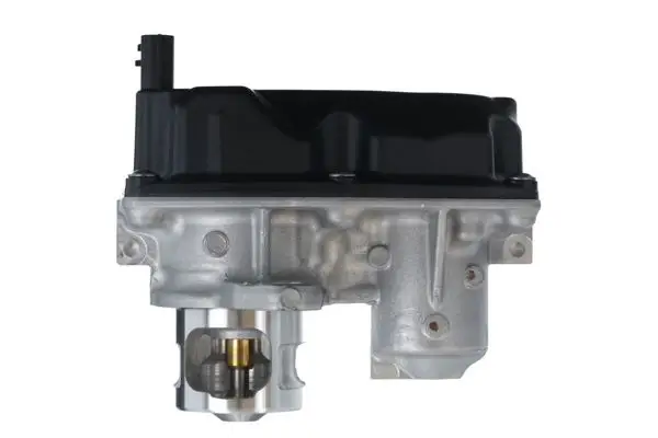 EGR Valfi 19-Talisman 2.0Dci