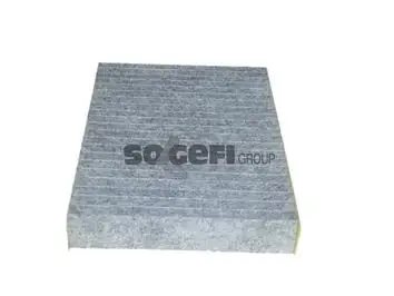 Polen Filtresi 09-Scenic 14-Traffic 1.6Dci + Ca