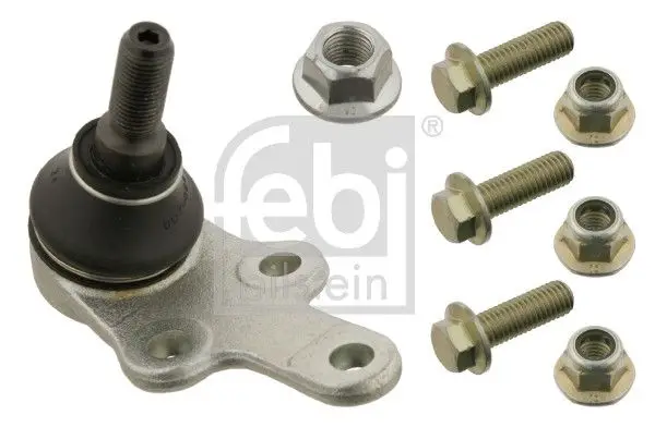 Rotil: Alt (21mm)