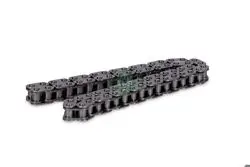 Eksantrik Zinciri (BMW: 1.18-1.20 D (E87) 04-11 / 3.20-3.30 D (E46) (E90) 02-12)