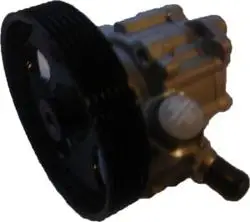 Direksiyon Pompası Kasnaklı (Peugeot: Partner Tepee 1.6 HDI 07-/ Citroen: Berlingo B9 1.6 HDI 07 -) 126mm