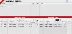 Hyundai Accent Admire Getz CRDI Tuscon Sportage CRDI Supap Gaydı