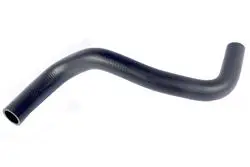 Hortum Radyatör Alt (Suzuki: Sx4)