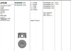 Piston 79.50 mm (0.50) Opel Insignia 1.6 A16xht (Euro 5) (Rıken Segmanlı)