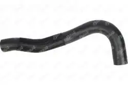 Turbo Hortumu