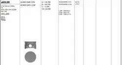 Piston 69.00 mm (0.50) Renault Clio Twingo 1.2 16V 93-09 D4f 740 (Rıken Segmanlı)