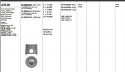 Piston 76.00 mm (Std) Renault Megane II Clio III Laguna III 1.5 DCI 05-K9k 732 / 764 / 780 / 804 (106 Ps) (Euro 4)