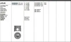 Piston 76.00 mm (Std) Renault Megane III Mercedes Cıtane 1111 Gla 180 CDI CLA 180 CDI A160 CDI B160 CDI 1.5 DCI 16V 11-K9k 837 / 846 Om607 (110 Hp) (Euro 5) (Soğutma Kanallı)