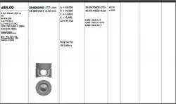 Piston 84.00 mm (Std) Renault Laguna Megane 2.0 DCI M9r (Rıken Segmanlı)