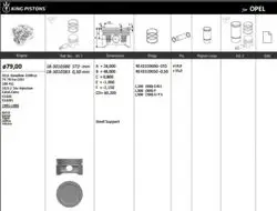 Motor Piston + Segmanı (Rıken) 79,00 + 0,50mm Cap Astra Corsa Tigra Zafira Vectra X16xe-X16xel 4Sıl. Benzinli 1598 CC-74 78 KW (101-106 Ps)-10,5: Piston Marka