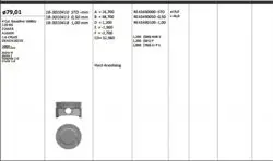 Piston 79.00 mm (Std) Opel Astra H Astra J Insignia Chevrolet Cruze A 1.6 09-A16xer Z16xer F16d4 (Rıken Segmanlı)