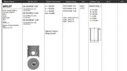 Piston 86.01 mm Std Ford Transit V347 2.2 TDCI Duratorq (100 Ps) (Rıken Segmanlı) (0.20 Kısa)