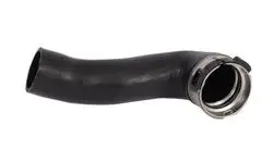 Turbo Hortumu (Volkswagen: Golf VI 2.0 TDI 2000 > 2005)
