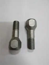 Bijon Civatası E.M. Fiat:Albea-Palio 1.6-(Aa.19 M12×1.25 B-20 L-33 H-56)