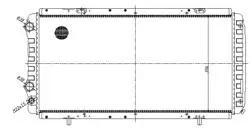 Su Radyatörü Brazing (Fiat-Boxer Jumper 2.0 HDI 2.2Hdı 2.8Hd 02-07 Ducato 2.0Jtd 2.3 JTD 02-07)