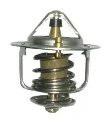 Termostat 82°C (Chevrolet-Captiva (C100 C140) 2.0 D 2.2D 4Wd)