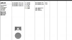 Piston 80.50 mm (0.40) Fiat Palio Doblo Stilo 1.6 16V (Rıken Segmanlı)