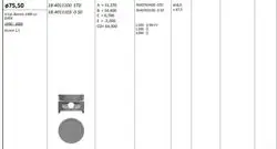 Piston 75.50 mm (+ 0.50) Hyundai Accent 1.5 Milenyum 90-00 G4ek