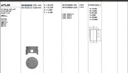 Piston 75.00 mm (Std) Peugeot P207 P307 Citroen C4 1.4 16V Et3j4 (Rıken Segmanlı)