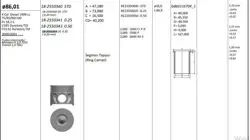 Piston 86.01 mm (0.50) Ford Transit V184 Mondeo 2.0Tdcı D5ba (90 Ps) (Rıken Segmanlı)