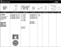 Piston 79.00 mm (Std) Opel Astra H 1.7 CDTI Dth 03-Z17dth (100 Ps) (Rıken Segmanlı)