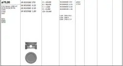 Piston 79.00 mm (0.25) Opel Astra F Corsa A Vectra A 1.6 C16se E16se 16Sv (Rıken Segmanlı)