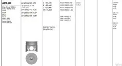 Piston 89.91 mm (+ 1.00) Ford Transit V184 2.4Tdcı Dt24p D2fa D2fe D4fa (90 Ps) (Rıken Segmanlı)