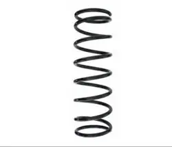 Helezon Yayı (Arka) Ford Ka 10 13 96-00-