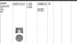Piston 72.00 mm (Std) Opel Corsa B Combo 1.2 93-01 X12sz (Rıken Segmanlı)