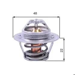 Termostat Jeep Cherokee 4.2 4×4 Ford Granada 2.0