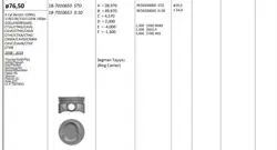 Piston 76.50 mm (Std) Volkswagen Golf V Touran Tiguan 1.4 TSI 16V 08-Ctj Cth Cav Ctk Cnw (Rıken Segmanlı)