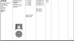 Piston 79.00 mm (Std) Opel Astra G Combo Corsa C Meriva 1.7D Z17dtl (Rıken Segmanlı) (0.20 Kısa)