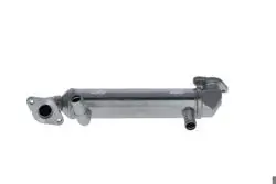 EGR Valfi
