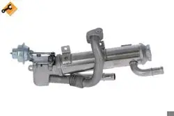 EGR Valfi