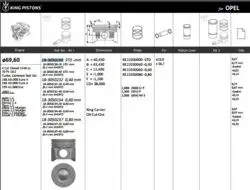 Piston 69.60 mm (Std) Opel Corsa C Corsa D Combo 1.3 CDTI Fiat Doblo Albea Palio 1.3 JTD Multijet (70 Hp) Z13dt 188A8 188A9 199A2 (Euro 4) (0.20 Kısa)