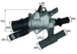 Termostat