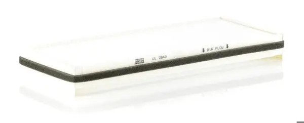 Polen Filtresi Espace IV 02 >