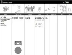 Piston 79.00 mm (Std) Opel Astra G-H Vectra C Meriva 1.6 16V 02-Z14xe Z16xep (Twınport) (Rıken Segmanlı)