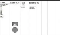 Piston 76.50 mm (0.50) Volkswagen Polo 1.4 16V Bby Ahw (Rıken Segmanlı)