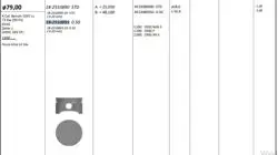 Piston 79.00 mm (0.50) Ford Focus Ghıa Lx 1.6 16V 73 KW (99 Ps) Zh16-Zetec-S Dohc (Rıken Segmanlı) (0.20 Kısa)